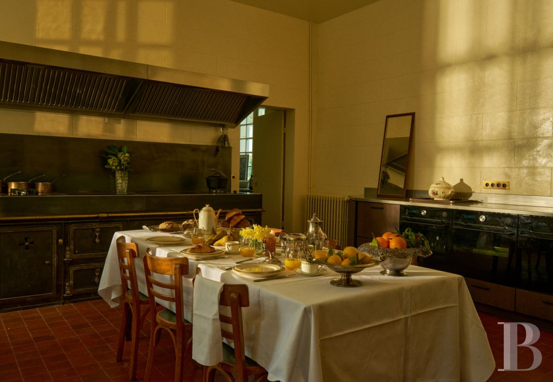 Dans le Val de Loire, près de Sancerre, un château du 18e siècle au milieu des vignes - photo  n°14